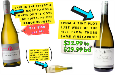 < $33 vs $150 White Burgundy Stunner "Like Chassagne Meets Chablis"